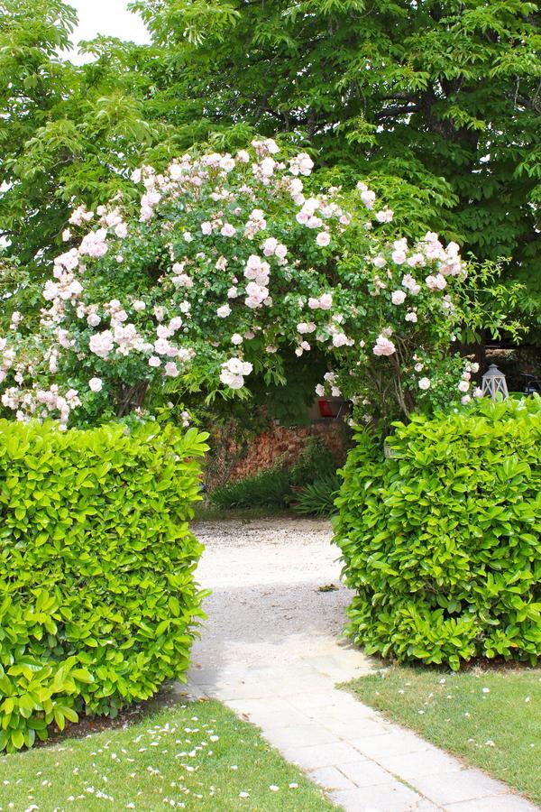 B&B La Badelle Gordes Exterior foto